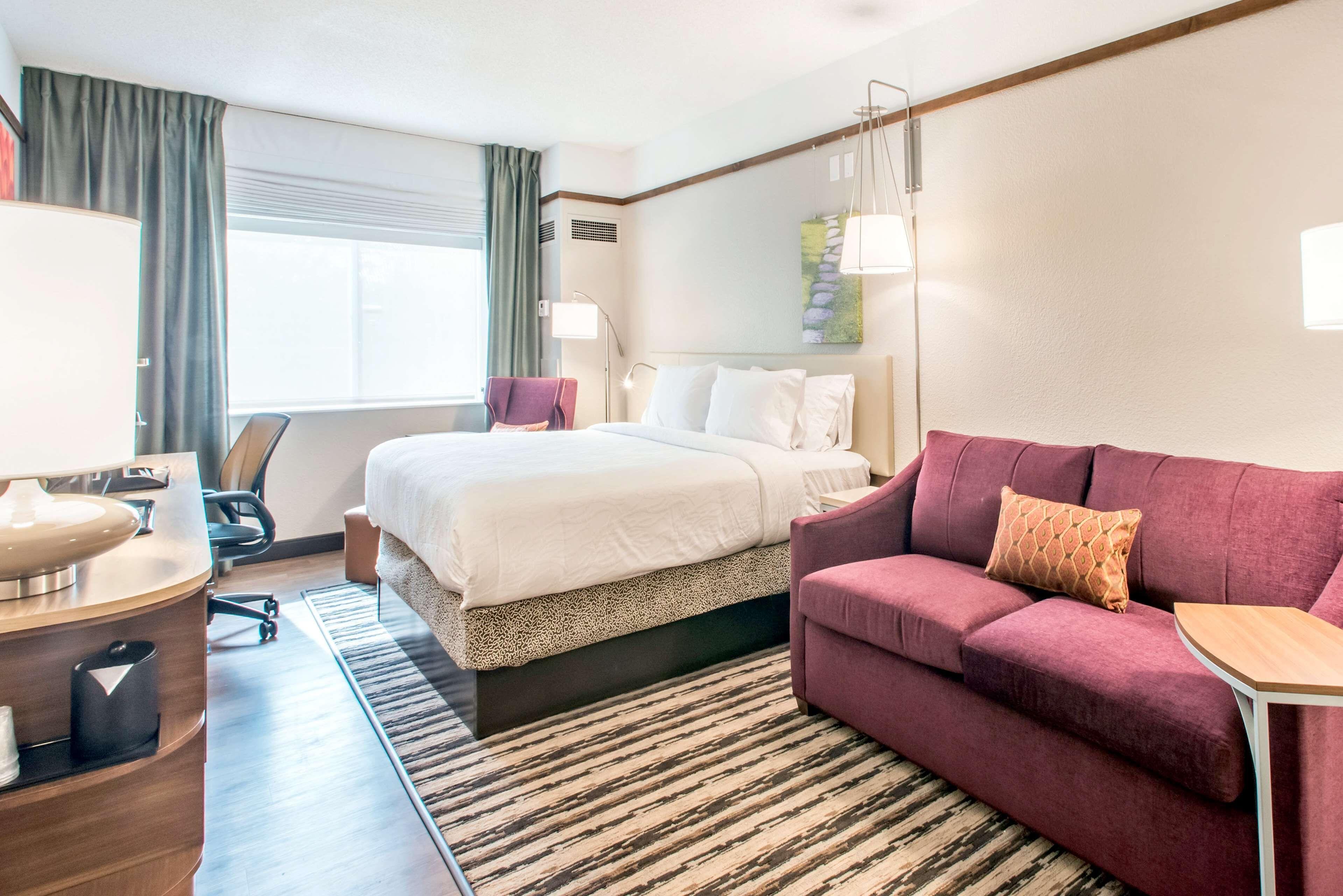Junior King Suite Sofa Bed,1709627641:JPEG
